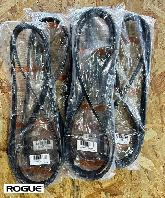 Courroie pour Rogue Ecko Bike V2.0/V3.0